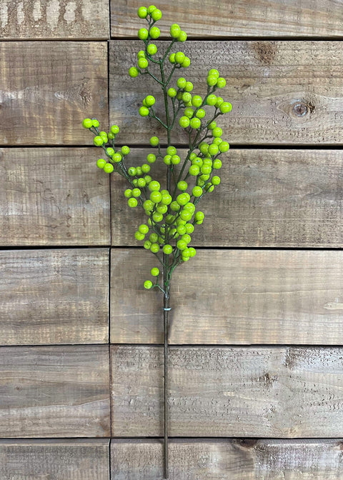 Branche décorative extérieure avec baies vert pomme