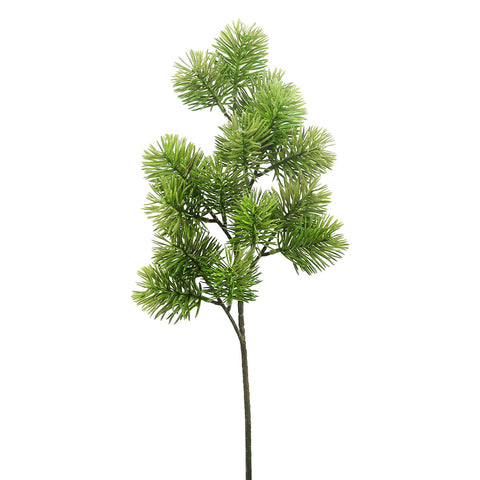 Tige de pin verte