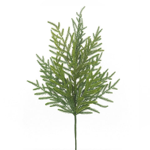 Tige de pin verte