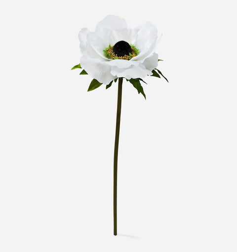 Fleur d'anémone blanche XXL