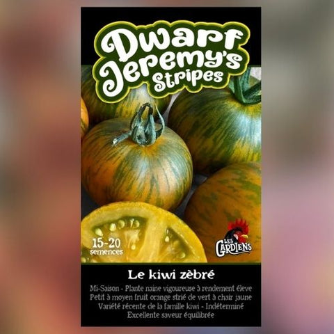 Semence de "Tomate Dwarf Jeremy's Stripes"