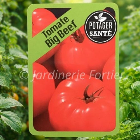 Tomate Big Beef / Potager Santé
