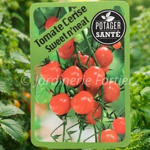 Tomate cerise Sweet'n'neat / Potager Santé