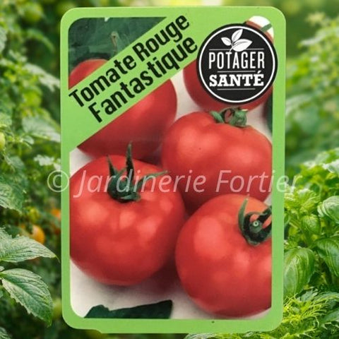 Tomate Fantastique / Potager Santé