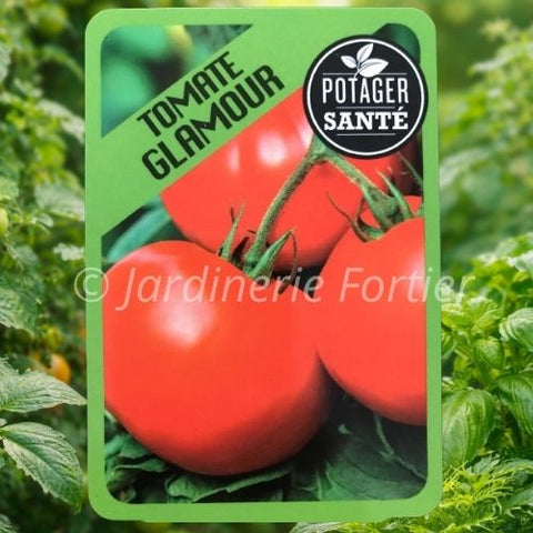 Tomate Glamour / Potager Santé