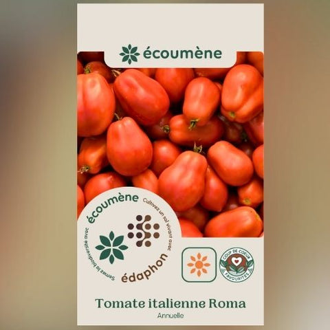 Plant de tomate italienne 'Roma' – Écoumène