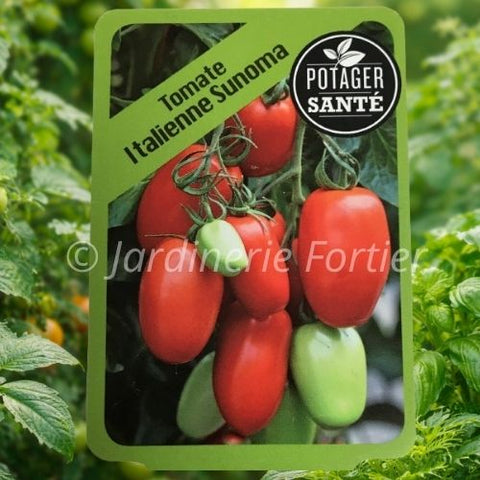 Tomate Italienne / Potager Santé