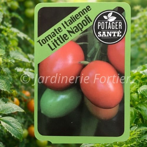 Tomate cerise Little Napoli / Potager Santé