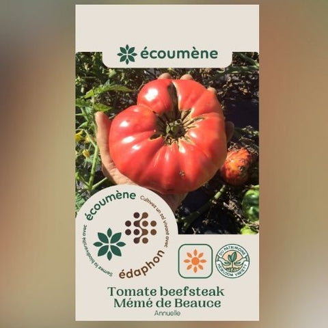 Plant de tomate 'Mémé de Beauce' – Écoumène
