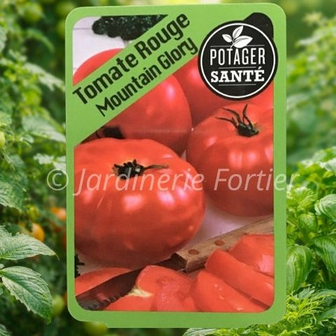 Tomate Mountain Glory / Potager Santé