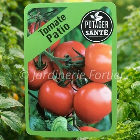 Tomate patio rouge / Potager Santé