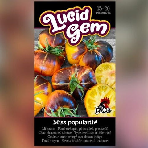 Semence de "Tomate Lucid Gem"
