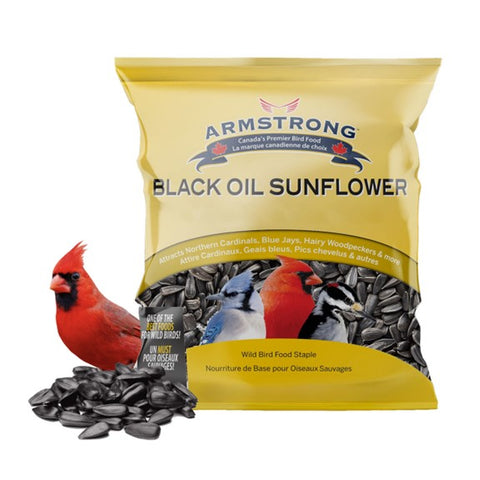 Tournesol noir