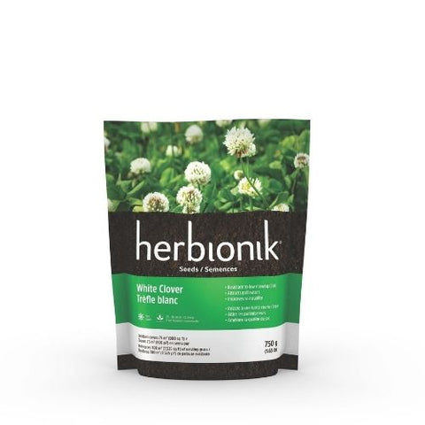 Semences trèfle blanc "Gloco"