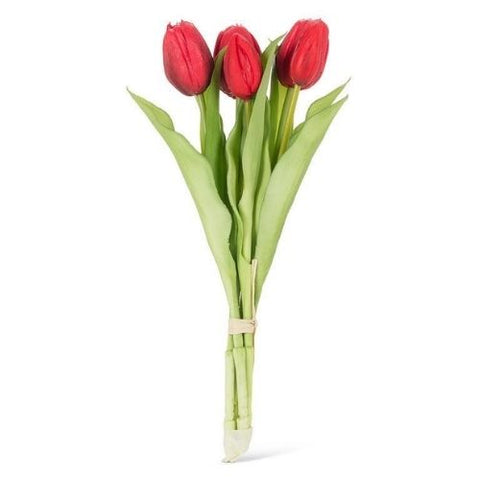 Bouquet de tulipes rouges
