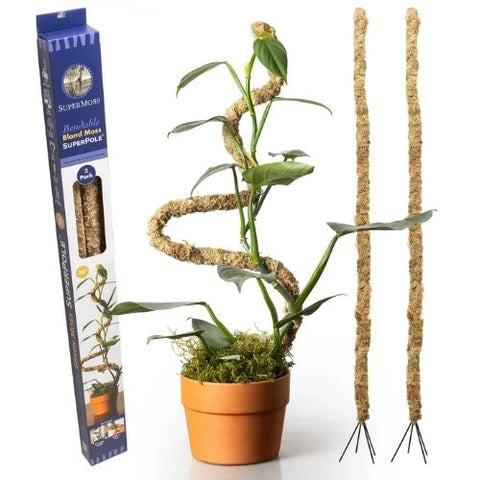 Tuteur flexible SuperPole® en mousse naturelle