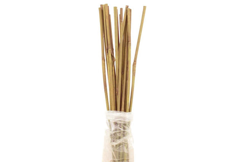 Tuteur de bambou naturel