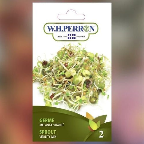 Semence de "Germe mélange Vitalité" non traité