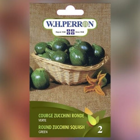 Semence de "Zucchini ronde verte"