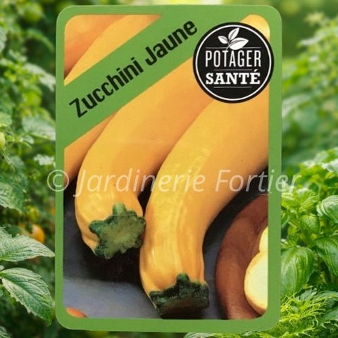 Zucchini Jaune / Potager Santé