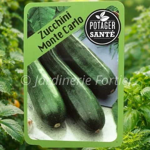 Zucchini Vert / Potager Santé
