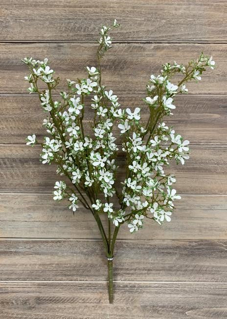 Tige de fleur blanche