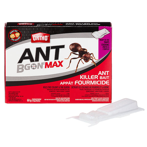 Appât à fourmis "Ant B Gon Max"
