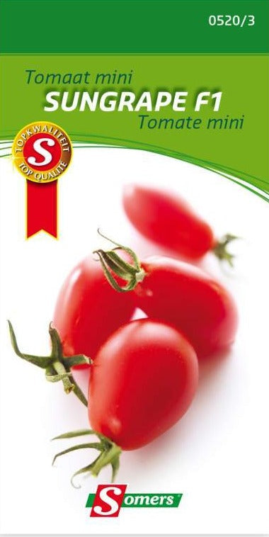 Semence de "Tomate mini Sungrape"