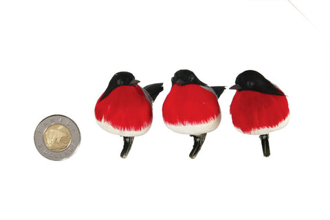 Oiseaux rouge et noir