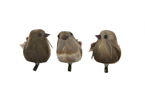 Oiseau décoratif brun sur pince