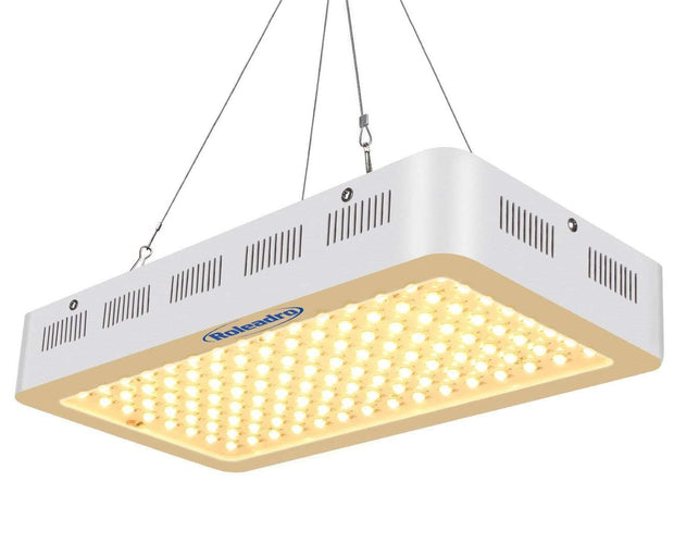 Lumière LED pour plantes Lumière LED pour les semis Élèvent la lumière pour  les plantes d'intérieur Élèvent l'ampoule de la lampe LED Élèvent