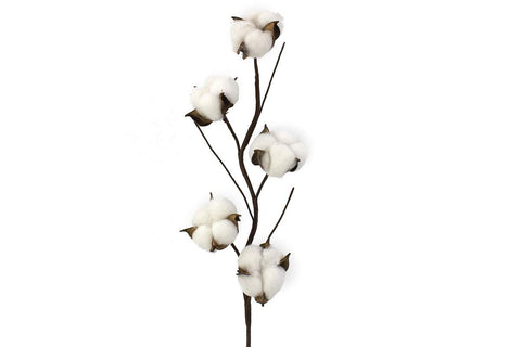 Tige de boules de coton