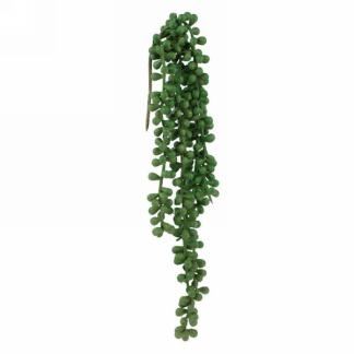 Tige de bourgeons vert