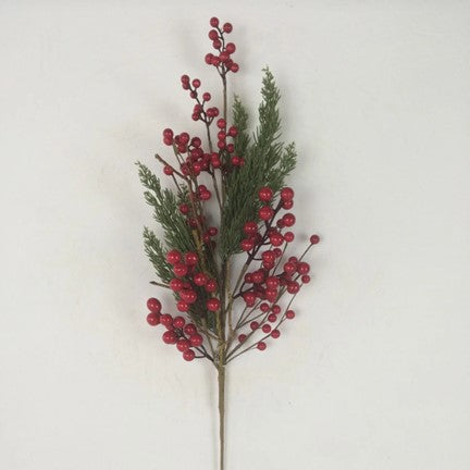 Tige de baies rouges