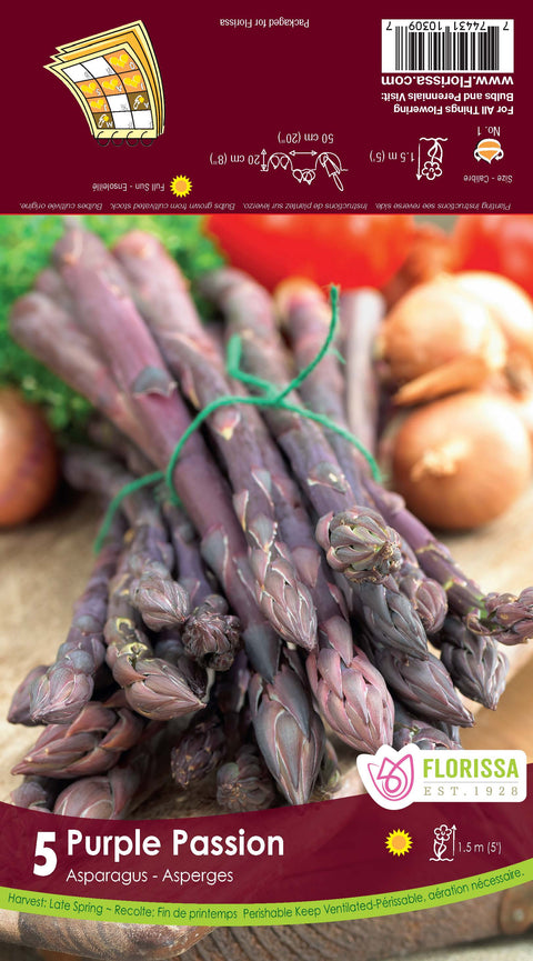 Semence "Asperge Novelty purple"