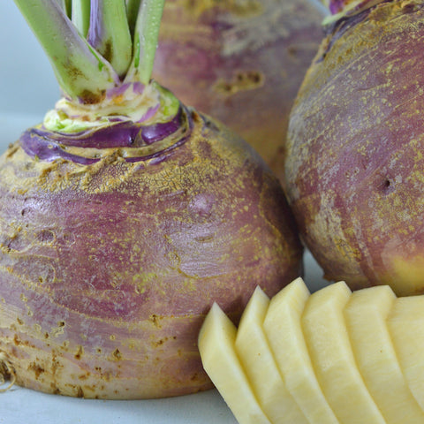 Semence de "Rutabaga Fortin" - Bio - Écoumène