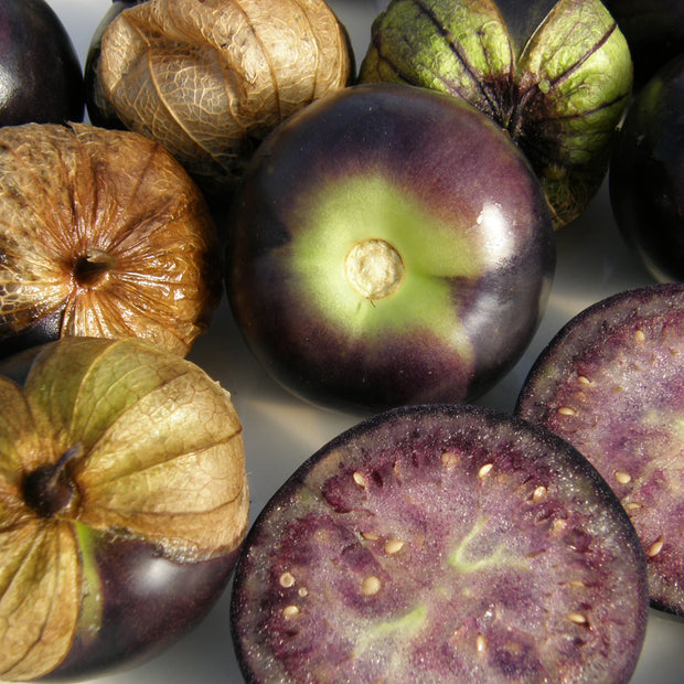 Semence "Tomatillo purple" - Bio - Écoumène