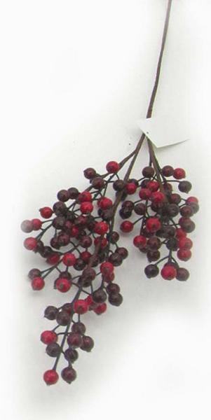 Branche de baies rouge