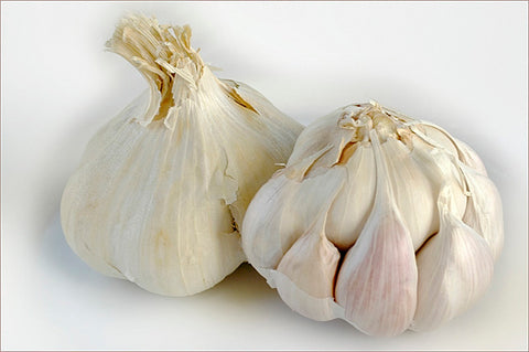 Bulbe ail régulier