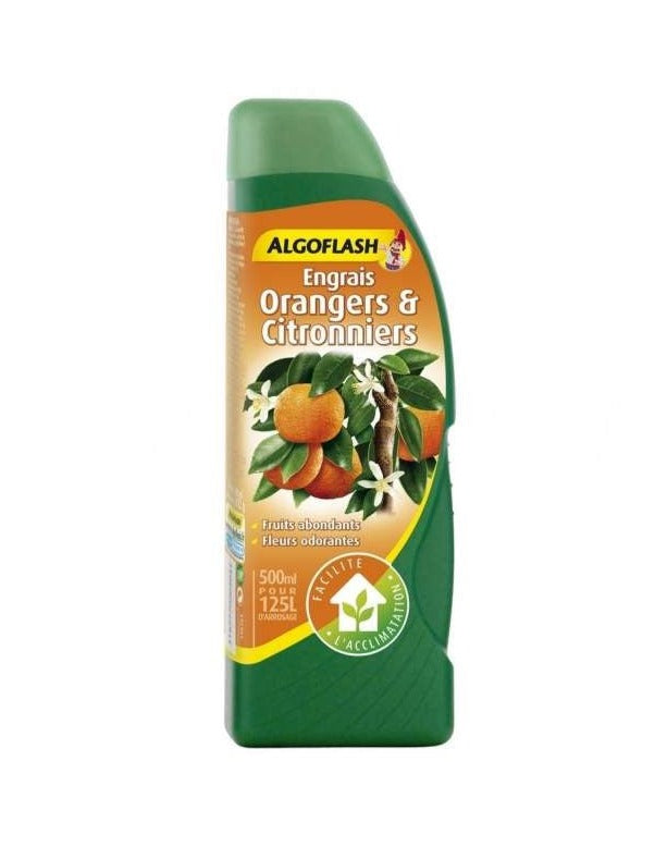 Algoflash pour orangers et citronniers