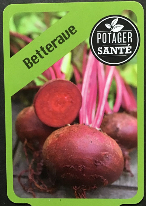 Betterave ronde / Potager Santé