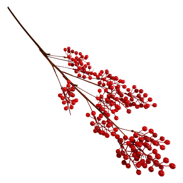 Branche de baies rouges