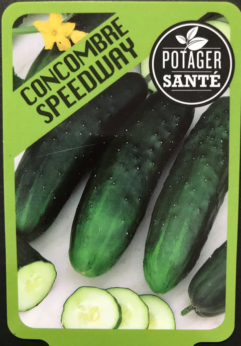 Concombre Speedway / Potager Santé
