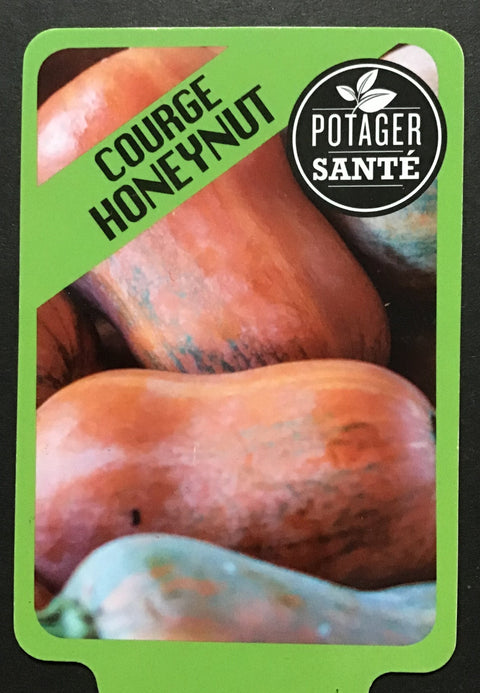 Courge Honeynut / Potager Santé