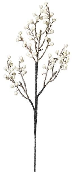 Branche de baies de couleur crème