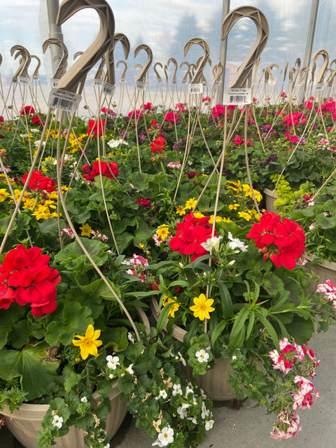 Jardinière fleurs mix