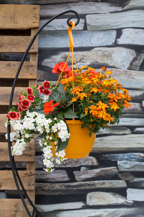 Jardinière fleurs mix orange