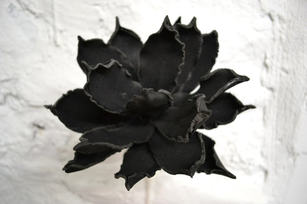 Fleur de magnolia noir