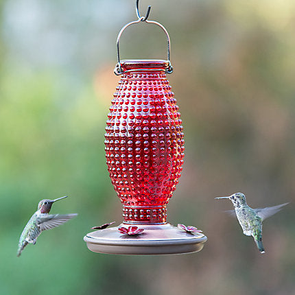 Mangeoire à colibris en verre rouge – Jardinerie Fortier