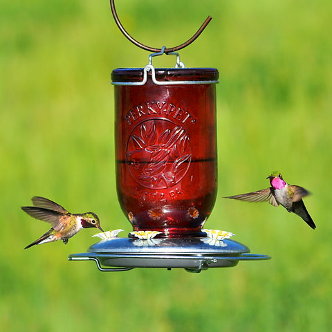 Mangeoire à colibris en verre rouge